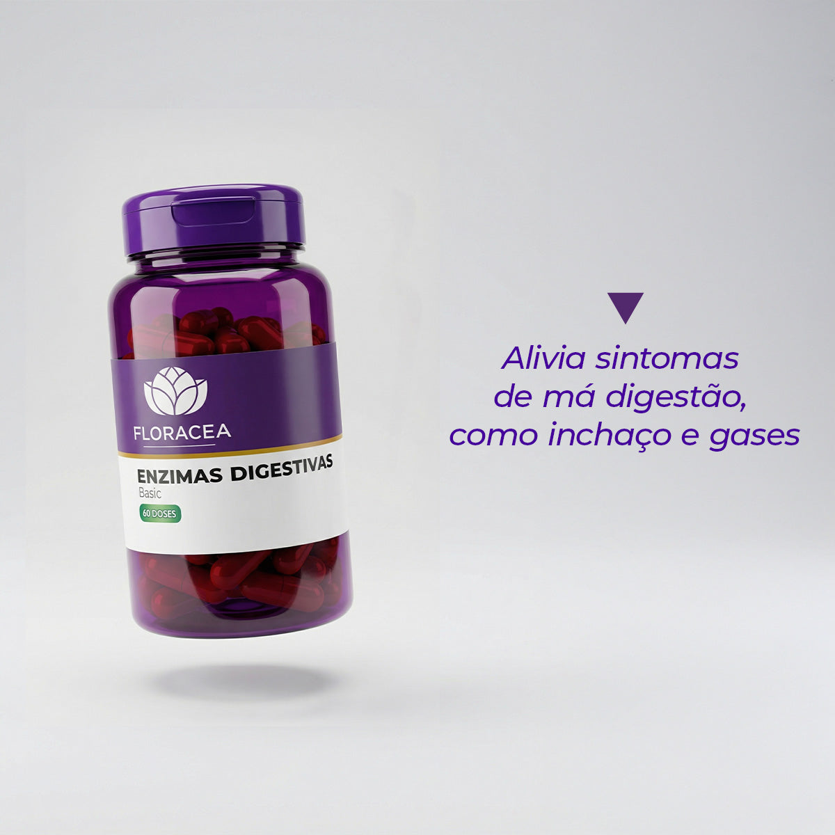 Enzimas Digestivas 245mg Basic 60 Doses - imagem 2