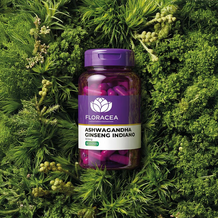 Ashwagandha Ginseng Indiano 500mg 30 Doses - imagem 2