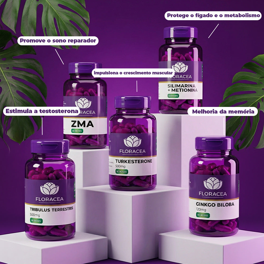 Combo Tribulus Terrestris 500mg 60 Doses + Zma 60 Doses + Turkesterone 500mg 30 Doses + Silimarina com Metionina 60 Doses + Ginkgo Biloba 60mg 60 Doses - imagem 2