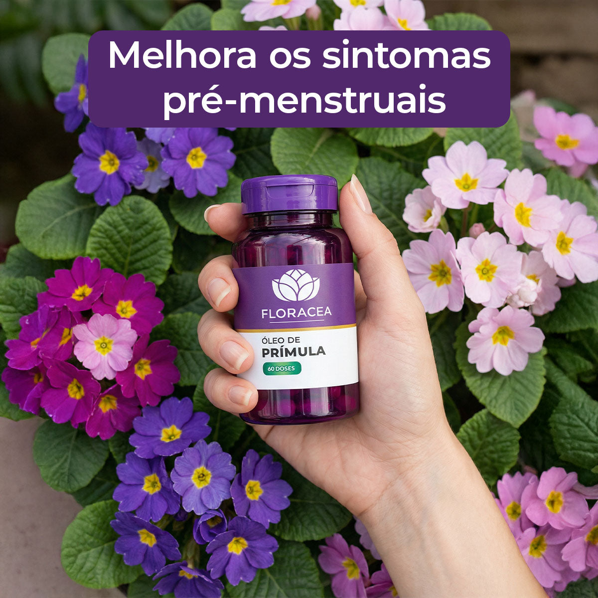 Óleo Primula 500mg 60 Doses - imagem 2